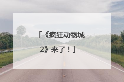 《疯狂动物城2》来了！