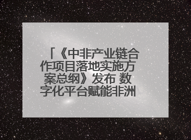 《中非产业链合作项目落地实施方案总纲》发布 数字化平台赋能非洲发展驶入快车道