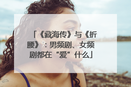 《藏海传》与《折腰》：男频剧、女频剧都在“爱”什么