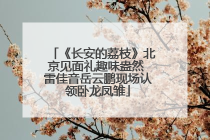 《长安的荔枝》北京见面礼趣味盎然 雷佳音岳云鹏现场认领卧龙凤雏
