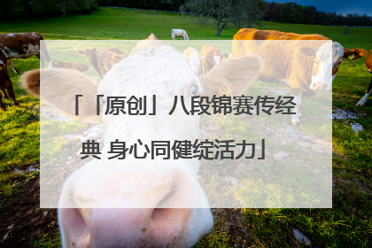 「原创」八段锦赛传经典 身心同健绽活力