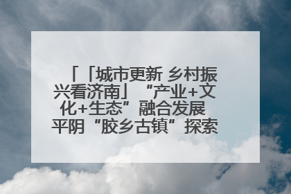 「城市更新 乡村振兴看济南」“产业+文化+生态”融合发展 平阴“胶乡古镇”探索振兴路径成效显著