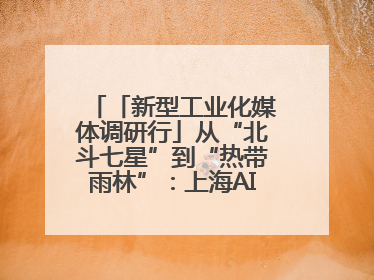 「新型工业化媒体调研行」从“北斗七星”到“热带雨林”：上海AI生态的技术商业共生密码