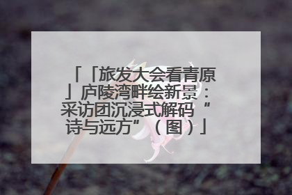 「旅发大会看青原」庐陵湾畔绘新景：采访团沉浸式解码“诗与远方”（图）