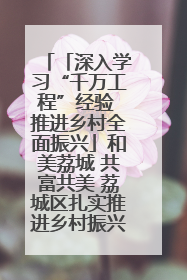「深入学习“千万工程”经验 推进乡村全面振兴」和美荔城 共富共美 荔城区扎实推进乡村振兴工作