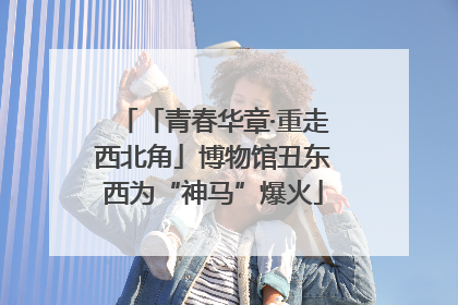 「青春华章·重走西北角」博物馆丑东西为“神马”爆火