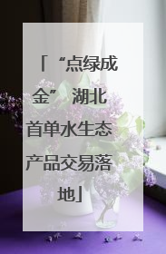 “点绿成金” 湖北首单水生态产品交易落地