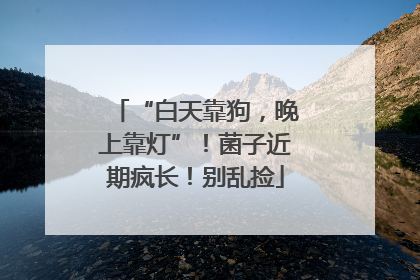 “白天靠狗，晚上靠灯”！菌子近期疯长！别乱捡