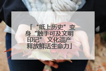 “纸上历史”变身“触手可及文明印记” 文化遗产释放鲜活生命力