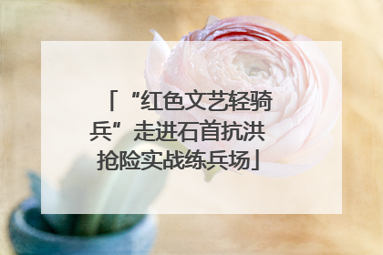 “红色文艺轻骑兵”走进石首抗洪抢险实战练兵场