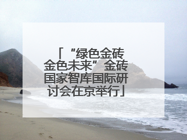 “绿色金砖 金色未来”金砖国家智库国际研讨会在京举行