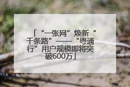 “一张网”焕新“千条路”——“粤通行”用户规模即将突破600万