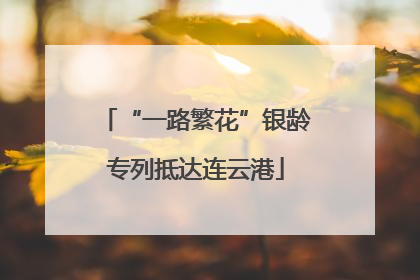 “一路繁花”银龄专列抵达连云港