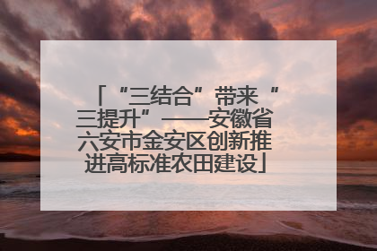“三结合”带来“三提升”——安徽省六安市金安区创新推进高标准农田建设