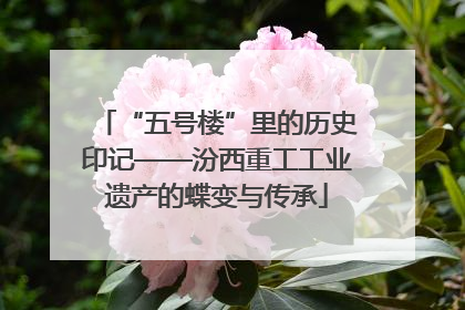 “五号楼”里的历史印记——汾西重工工业遗产的蝶变与传承