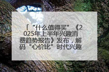 “什么值得买”《2025年上半年兴趣消费趋势报告》发布，解码“心价比”时代兴趣消费新范式