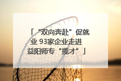 “双向奔赴”促就业 93家企业走进益阳师专“揽才”