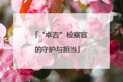“卓吉”检察官的守护与担当