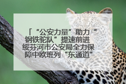 “公安力量”助力“钢铁驼队”提速前进 绥芬河市公安局全力保障中欧班列“东通道”绥芬河隧道贯通