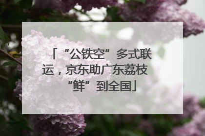 “公铁空”多式联运，京东助广东荔枝“鲜”到全国