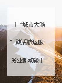 “城市大脑”激活航运服务业新动能