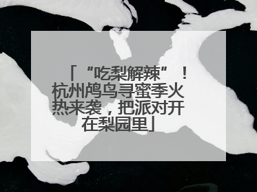 “吃梨解辣”！杭州鸬鸟寻蜜季火热来袭，把派对开在梨园里