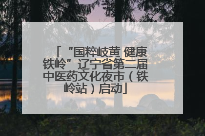 “国粹岐黄 健康铁岭”辽宁省第二届中医药文化夜市（铁岭站）启动