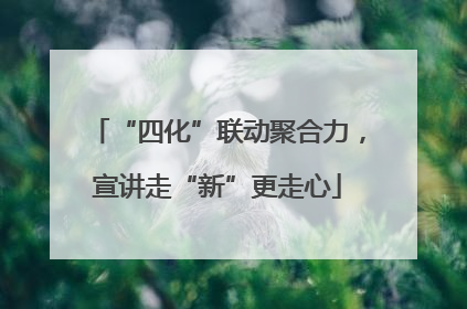“四化”联动聚合力，宣讲走“新”更走心