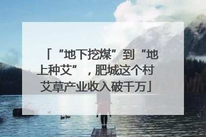 “地下挖煤”到“地上种艾”，肥城这个村艾草产业收入破千万