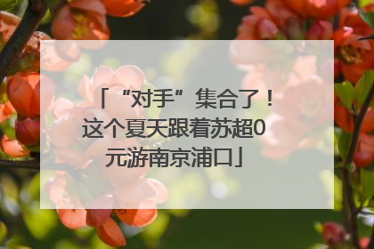 “对手”集合了！这个夏天跟着苏超0元游南京浦口