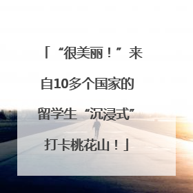 “很美丽！”来自10多个国家的留学生“沉浸式”打卡桃花山！