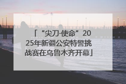 “尖刀·使命”2025年新疆公安特警挑战赛在乌鲁木齐开幕