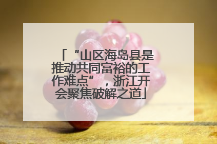 “山区海岛县是推动共同富裕的工作难点”，浙江开会聚焦破解之道
