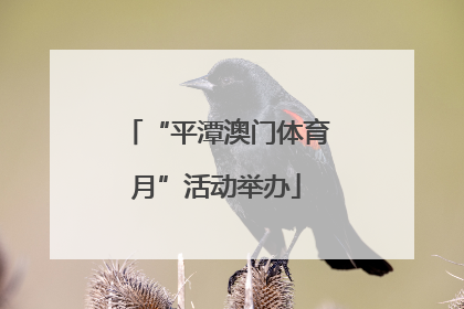 “平潭澳门体育月”活动举办