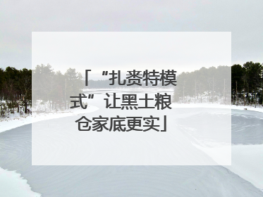 “扎赉特模式”让黑土粮仓家底更实