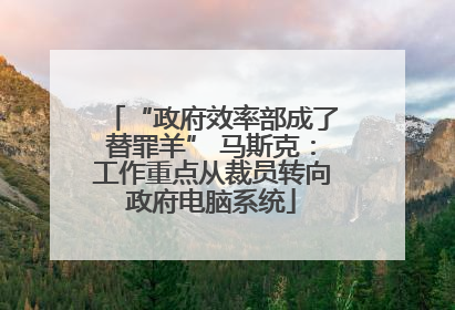 “政府效率部成了替罪羊” 马斯克：工作重点从裁员转向政府电脑系统