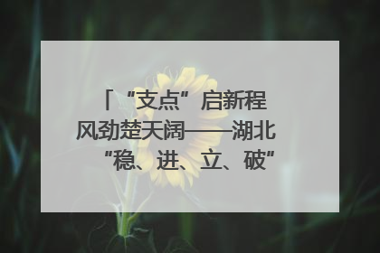 “支点”启新程 风劲楚天阔——湖北“稳、进、立、破”谱写“荆”彩篇章