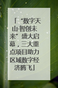 “数字天山·智创未来”盛大启幕，三大重点项目助力区域数字经济腾飞