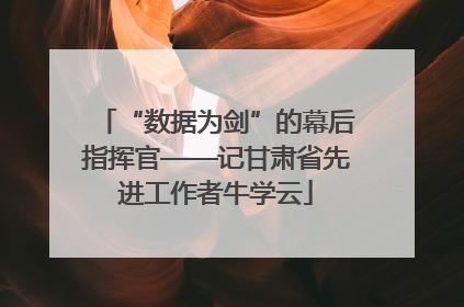 “数据为剑”的幕后指挥官——记甘肃省先进工作者牛学云