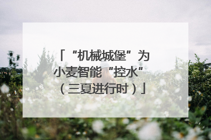 “机械城堡”为小麦智能“控水”（三夏进行时）