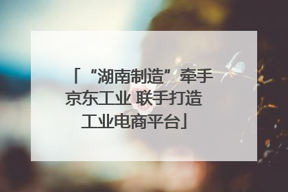 “湖南制造”牵手京东工业 联手打造工业电商平台