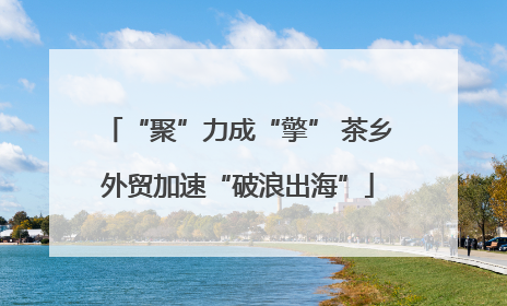 “聚”力成“擎” 茶乡外贸加速“破浪出海”