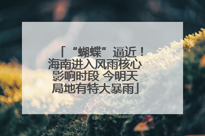 “蝴蝶”逼近！海南进入风雨核心影响时段 今明天局地有特大暴雨
