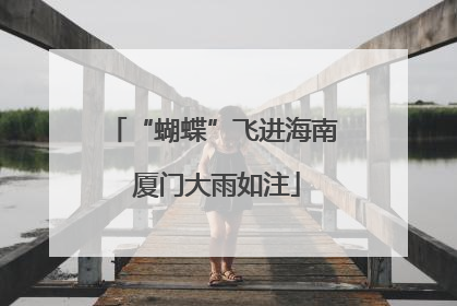 “蝴蝶”飞进海南 厦门大雨如注