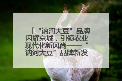 “讷河大豆”品牌闪耀京城，引领农业现代化新风尚——“讷河大豆”品牌新发地推介会圆满落幕