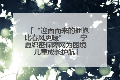 “迎面而来的拥抱比春风更暖”——宁夏织密保障网为困境儿童成长护航