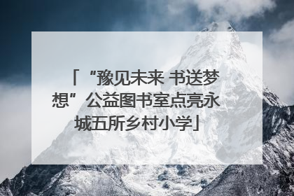 “豫见未来 书送梦想”公益图书室点亮永城五所乡村小学