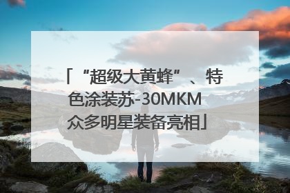 “超级大黄蜂”、特色涂装苏-30MKM 众多明星装备亮相