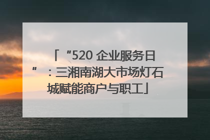 “520 企业服务日”：三湘南湖大市场灯石城赋能商户与职工
