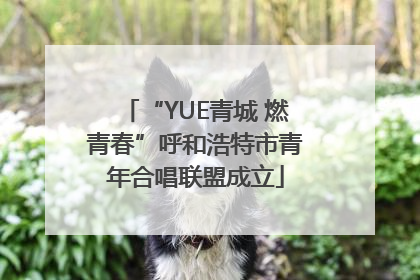 “YUE青城 燃青春”呼和浩特市青年合唱联盟成立